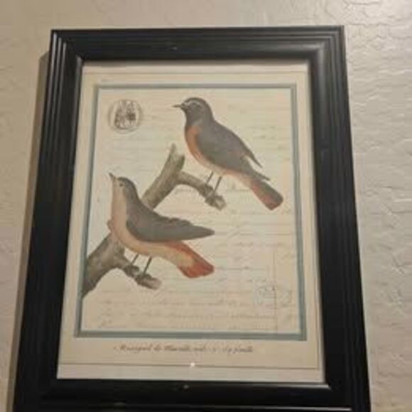 Set of 2 Framed Bird Pictures Prints 13" X 15" - Picture 2 of 8